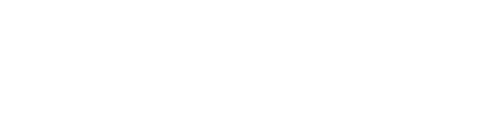 V4 Company Wendling